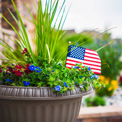 July4thPorchPots_1