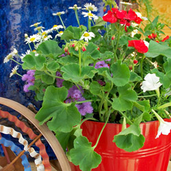 July4thPorchPots_2